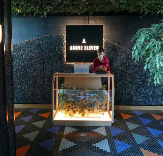 Above Eleven Rooftop Bar, UAE