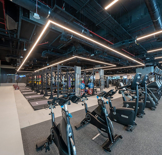 Wellfit Gym Sound System, UAE