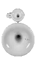 Pequod_acoustics_espero_front.webp